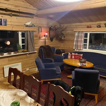 Hyttetun Pa Hardangervidda Feriehus *
